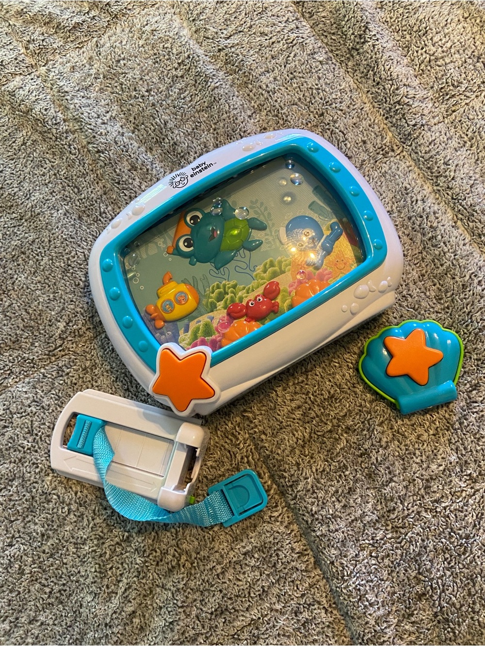 Baby Einstein Ocean Water Play Toy - Teal and White